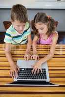 Siblings using laptop in kitchen