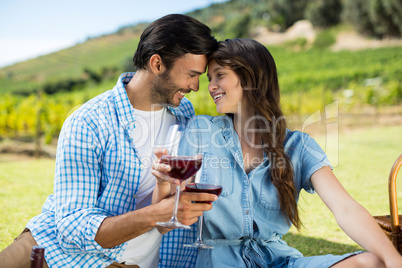 Romantic couple holding red wine glasses