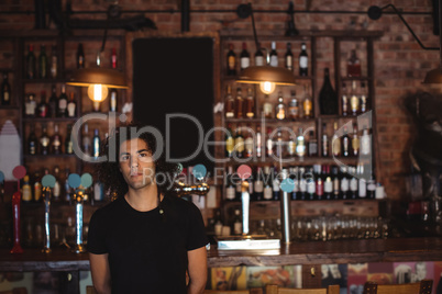 Portrait of male bar tender
