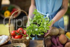 Mid section of woman holding leaf vegetable