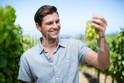 Happy young man holding grapes