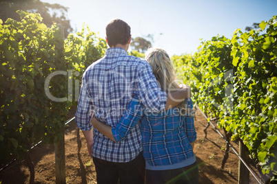 Rear view of couple embracing at vineyard during sunny day