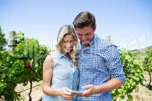 Happy couple using mobile phone at vineyard
