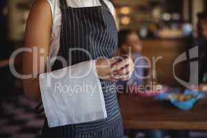 Waitress with napkin standing at restaurant