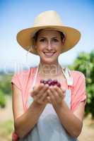 Portrait of smiling farmer holding red grapes