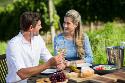 Smiling friends holding wineglasses while sitting at table