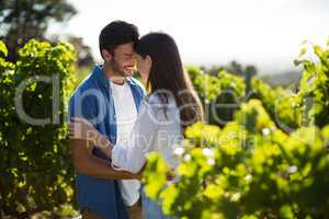 Happy young couple standing face to face at vineyard