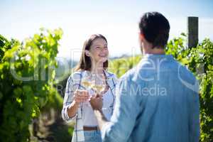 Cheerful couple toasting wineglasses