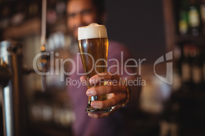 Male bar tender giving glass of beer