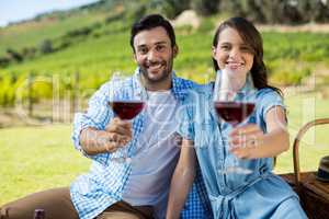 Portrait of happy couple offering wineglasses