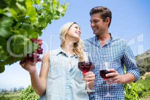 Low angle view of happy couple holding winnglasses at vineyard