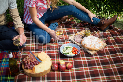 Couple holding wineglasses while sitting on picnic blanket