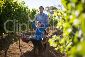 Man pushing his cheerful girlfriend in wheelbarrow at vineyard