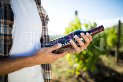 Mid section of man holding wine bottle at vineyard