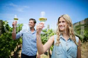 Smiling young couple holding wineglasses at vineyard