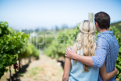 Rear view of couple embracing at vineyard