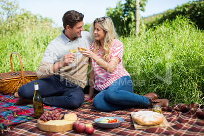 Smiling young couple toasting wineglasses on picnic blanket