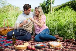 Smiling young couple toasting wineglasses on picnic blanket