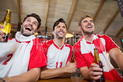 Cheerful friends holding beer bottles