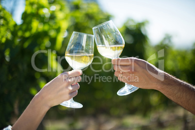 Couple toasting wineglasses at vineyard on sunny day