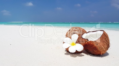 v02035 Maldives beautiful beach background white sandy tropical paradise island with blue sky sea water ocean 4k coconut