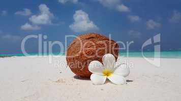 v02049 Maldives beautiful beach background white sandy tropical paradise island with blue sky sea water ocean 4k coconut flower