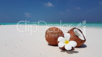 v02063 Maldives beautiful beach background white sandy tropical paradise island with blue sky sea water ocean 4k coconut white flower