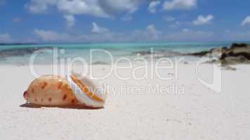 v02445 Maldives beautiful beach background white sandy tropical paradise island with blue sky sea water ocean 4k shell