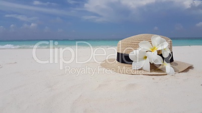 v02449 Maldives beautiful beach background white sandy tropical paradise island with blue sky sea water ocean 4k hat flower v02449 Maldives beautiful beach background white sandy tropical paradise island with blue sky sea water ocean 4k hat flower
