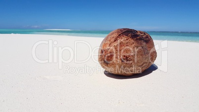 v02901 Maldives beautiful beach background white sandy tropical paradise island with blue sky sea water ocean 4k dry coconut