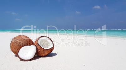 v02907 Maldives beautiful beach background white sandy tropical paradise island with blue sky sea water ocean 4k coconuts