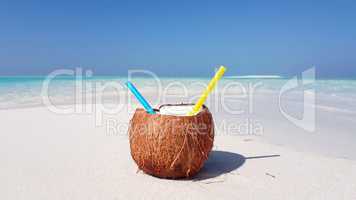 v02909 Maldives beautiful beach background white sandy tropical paradise island with blue sky sea water ocean 4k coconut drink juice milk