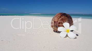 v02927 Maldives beautiful beach background white sandy tropical paradise island with blue sky sea water ocean 4k coconut flower