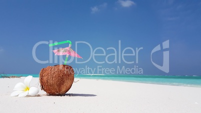 v02941 Maldives beautiful beach background white sandy tropical paradise island with blue sky sea water ocean 4k coconut flower