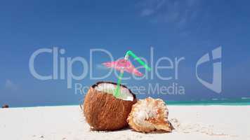 v02945 Maldives beautiful beach background white sandy tropical paradise island with blue sky sea water ocean 4k coconut seashell