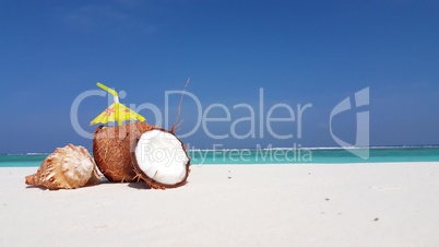 v02947 Maldives beautiful beach background white sandy tropical paradise island with blue sky sea water ocean 4k coconut seashell