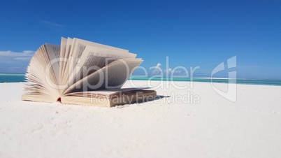 v02981 Maldives beautiful beach background white sandy tropical paradise island with blue sky sea water ocean 4k read book