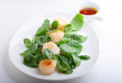 Scallop Salad with greenery