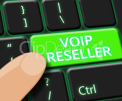 Voip Reseller Key Shows Internet Voice 3d Illustration