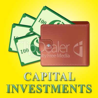 Capital Investments Meaning Equity Investment 3d Illustration