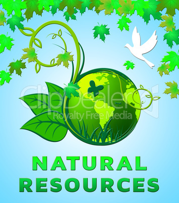 Natural Resources Design Shows Nature Assets 3d Illustration