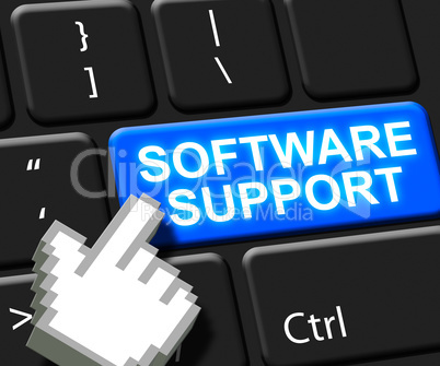 Software Support Key Shows Online Assistance 3d ILlustration