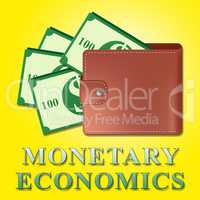 Monetary Economics Meaning Finance Economy 3d Illustration