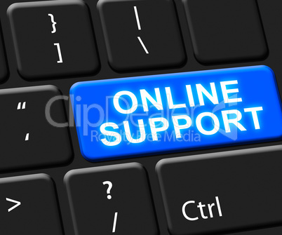 Online Support Key Shows Assistance 3d Illustration