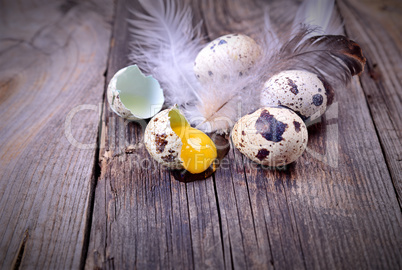 Quail eggs on a wooden surface