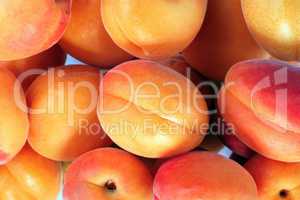 many orange peach at day