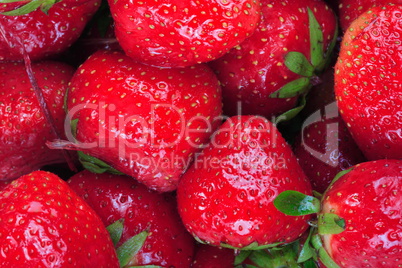 many raw red Strawberry