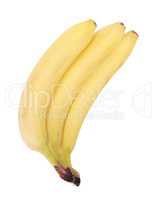 many yellow banana isolated