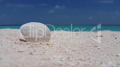 v01007 Maldives beautiful beach background white sandy tropical paradise island with blue sky sea water ocean 4k seashell