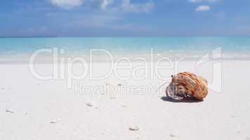 v01107 Maldives beautiful beach background white sandy tropical paradise island with blue sky sea water ocean 4k hermit crab